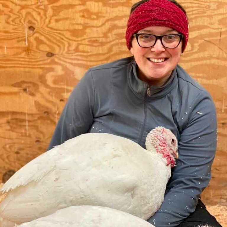Rescued Turkey with people