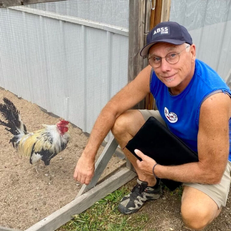 Rescued Chicken with people